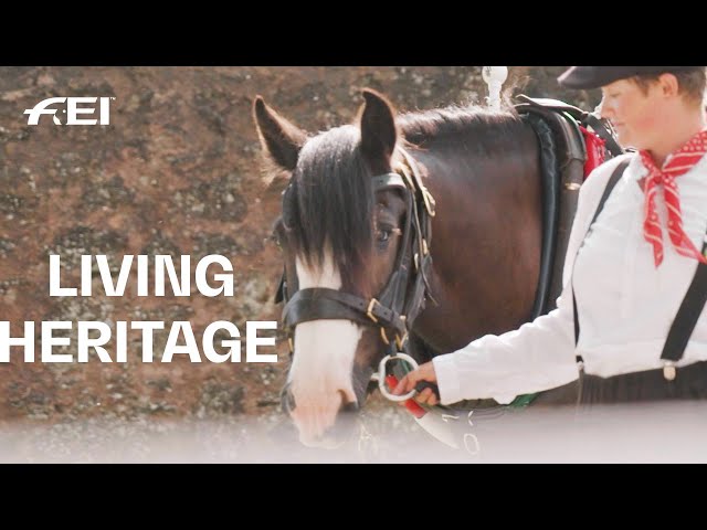 One of the last Horse-Drawn Barges in Great Britain - Tiverton Canal Co. | RIDE