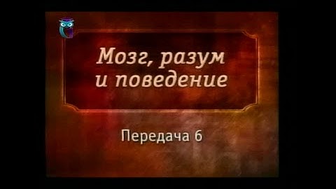 Мозг, разум и поведение. Передача 6. Эмоции
