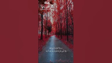 أجمل حالات واتس اب قرآن كريم بصوت جميل جدا ❤😍 Quran Status || شريف مصطفى