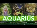 AQUARIUS 💌 OMG! The Cards Warned You… Someone Obsessed With You Is About to Search for You! 😱❤️‍🔥