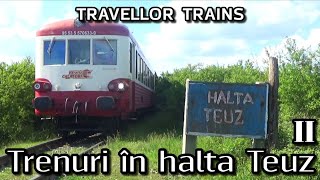Trenuri în halta Teuz - Episodul 2 (Linia 318: Ineu - Cermei)