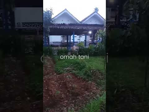 Suasana Omah Tani