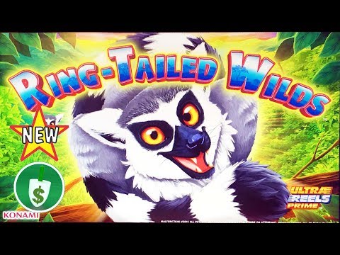 ⭐️ NEW - Ring Tailed Wilds slot machine, bonus