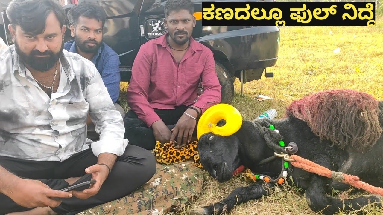 😎 boss full ರೆಸ್ಟ್ ಅಲ್ಲಿ ಇದ್ದಾರೆ ಬನ್ನಿಕೋಡ್ ಕಣದಲ್ಲಿ..... 