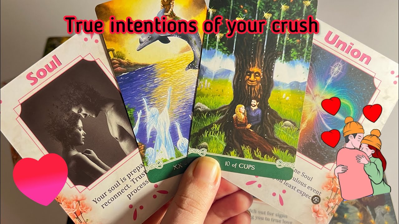 True intentions of your crush💞 Crush Current energy ️‍🔥Hindi tarot card ...
