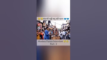 Monkey Vlog Part-2 #aivideo #ai #monkey #vlog #aivideokaisebanaye #shorts #monkeyvlog #funny
