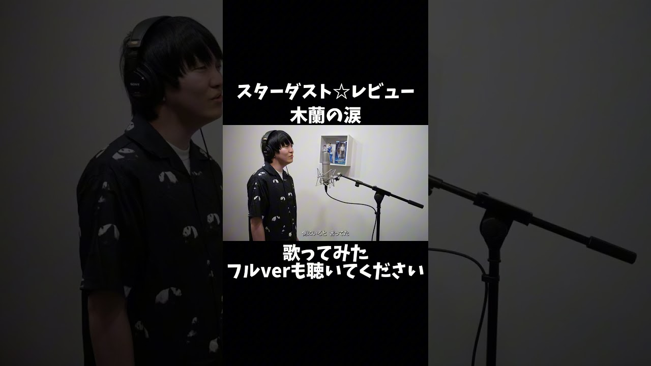 木蘭の涙/スターダスト⭐︎レビュー をほしのディスコが歌ってみた