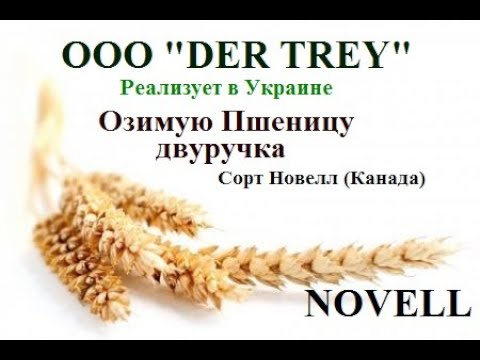 Оз. Пшеница (двуручка)