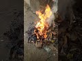 শীতের দিনে আগুন জ্বালিয়ে শীত নিবারণ🥰😍
