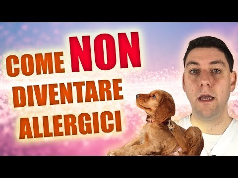 E&rsquo; possibile EVITARE LE ALLERGIE ALIMENTARI nel cane e nel gatto?