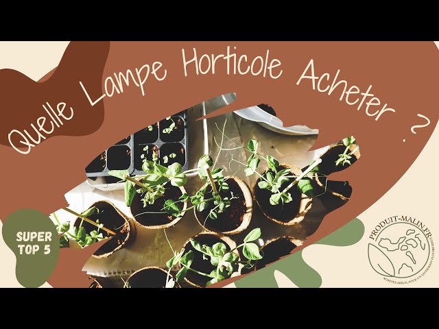 QUELLE LAMPE HORTICOLE CHOISIR ? - LE BLOG