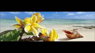 Video thumbnail of "TRIO INFERNAL - L'avion Décolle Je T'aime; Storm Never Last... [Medley Tahiti]"