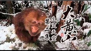 Great Mount Huangshan Episode 2 Paradise for Living Beings