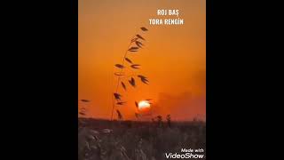 Roj Baş Mardin Batman Şırnak