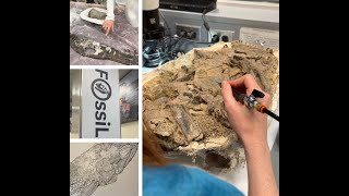 Behind the scenes at the Smithsonian Natural History Museum's FossiLab