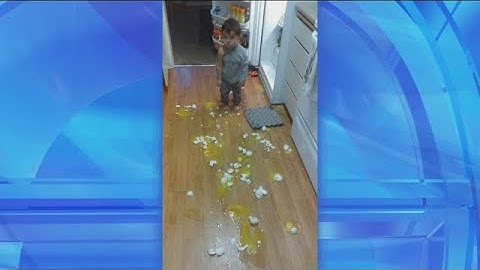 Why I Don’t Have Kids: Let’s Make a Mess