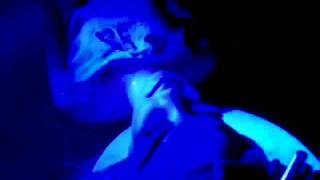 Prometheus Aliens Stop Motion Chestburster (HALO Contest Gore prometheus Aliens Xeno)