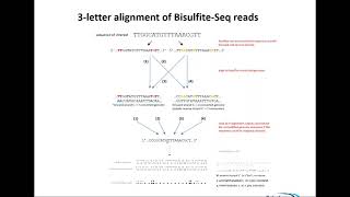 2017-10-13 Bisulfite Sequencing Theory and Quality Control, Dr Felix Krueger
