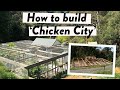 Ultimate Chicken Coop Build Answering Your Questions On Design Roofing Predator Proofing 