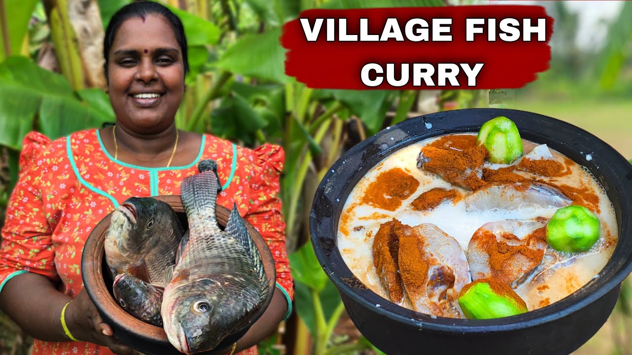 திலாப்பிய மீனும் பச்சை அரிசி சோறும் இருந்தால் போதும் | Our Village life ♥️ | vanni vlog 