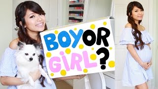 Pregnancy Vlog #2 ♥ BABY GENDER REVEAL! We&#39;re having a...