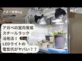 アガベの室内管理、LEDライトの設置方法、スチールラックが便利！電気代がやばい！？