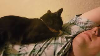 Shadow Loving Bfs Underarm