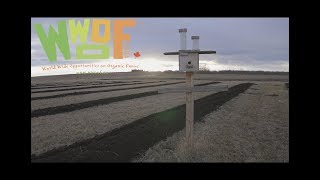Wwoof is... how the world should be!