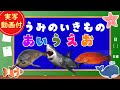 【海の生き物あいうえお】子供向け　うみのいきもののなまえをおぼえよう！サメ、クジラ、アザラシ、タコなど【実写動画】