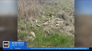 Surveillance cameras helping catch illegal dumpers in Suffolk County