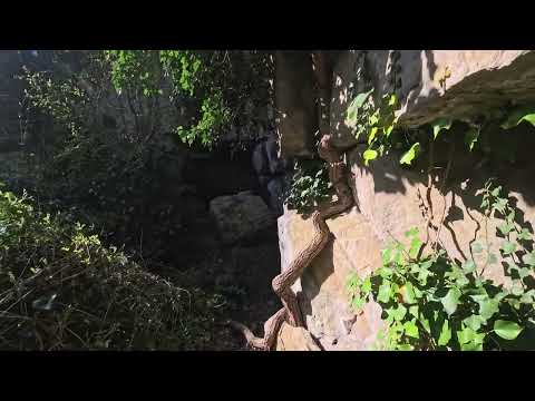 Winspit Quarry Bat Caves