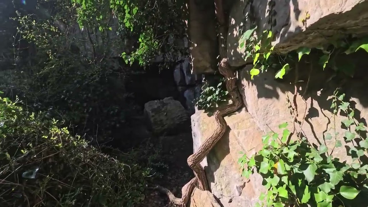 Winspit Quarry Bat Caves