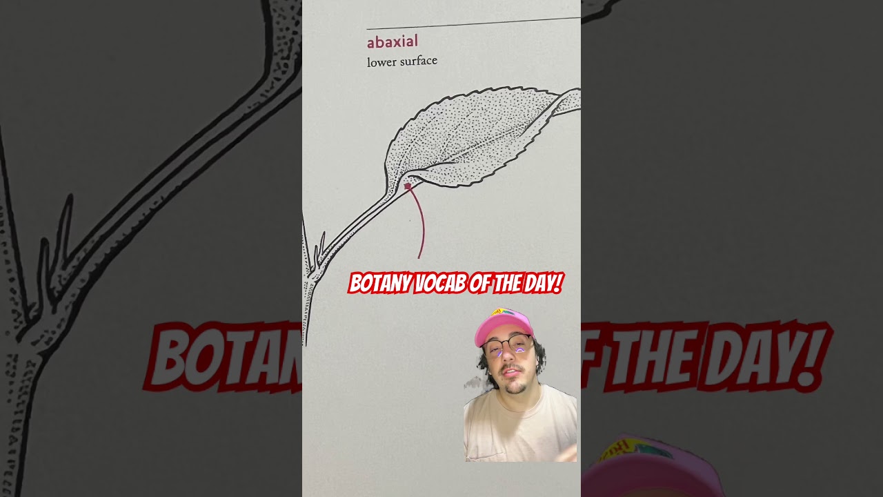 Botanical word of the Day! 