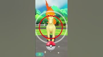 Random Shiny Enton/Psyduck in Pokémon Let’s Go Evoli/Eevee!🟤✨(Shiny Charm)