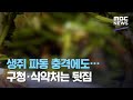 생쥐 파동 충격에도…구청·식약처는 뒷짐 (2020.12.03/뉴스투데이/MBC)