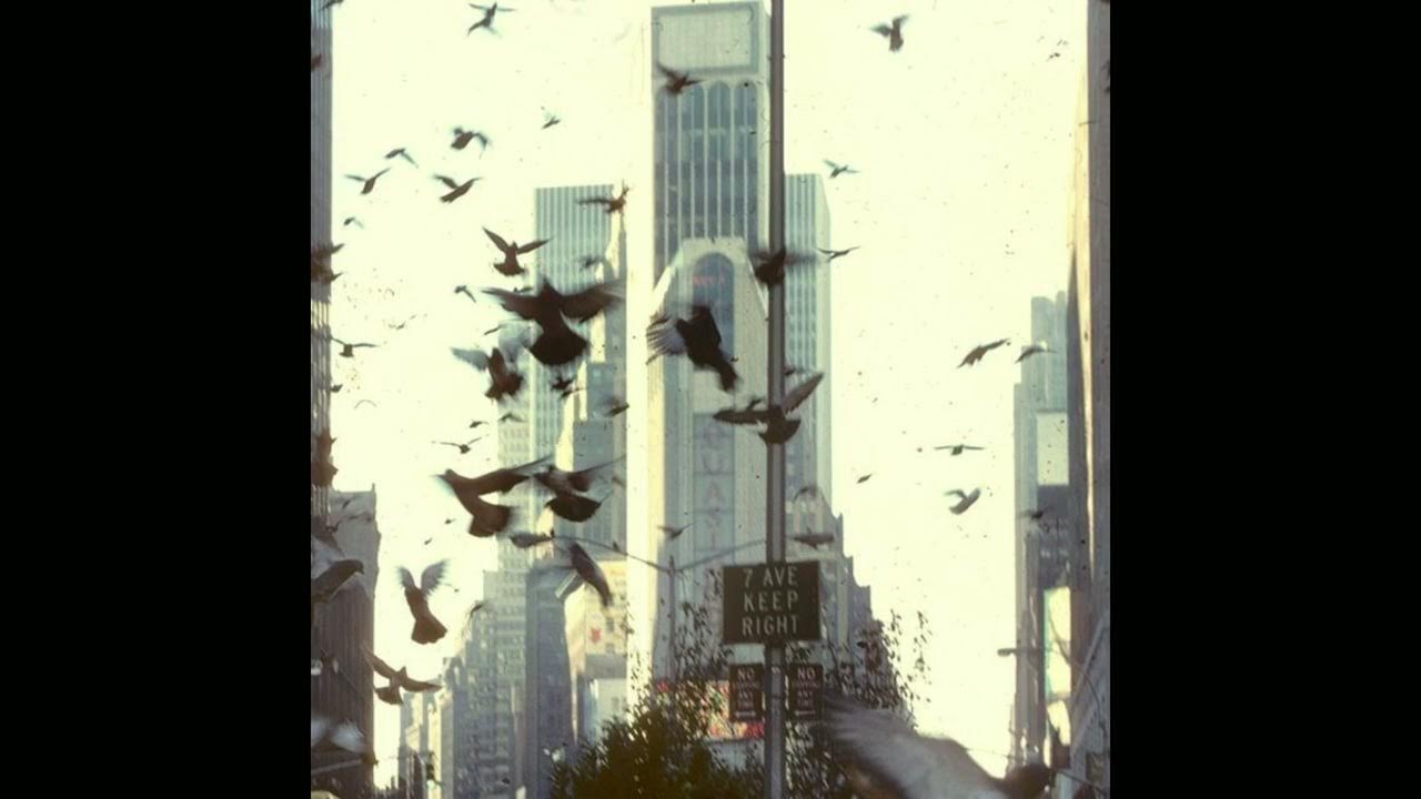 [FREE] Clams casino x The Kid Laroi x Experimental type Beat