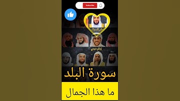 سورة البلد بصوت مجموعة من اجمل شيوخ قراءة القرآن الكريم