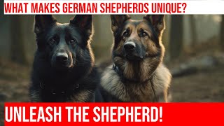 Unlocking the Anatomy of German Shepherds by Happy Hounds Hangout No views 3 days ago 3 minutes, 49 seconds
