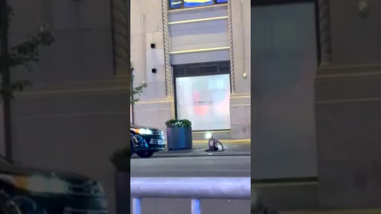 People Seen Emerging From NYC Sewers