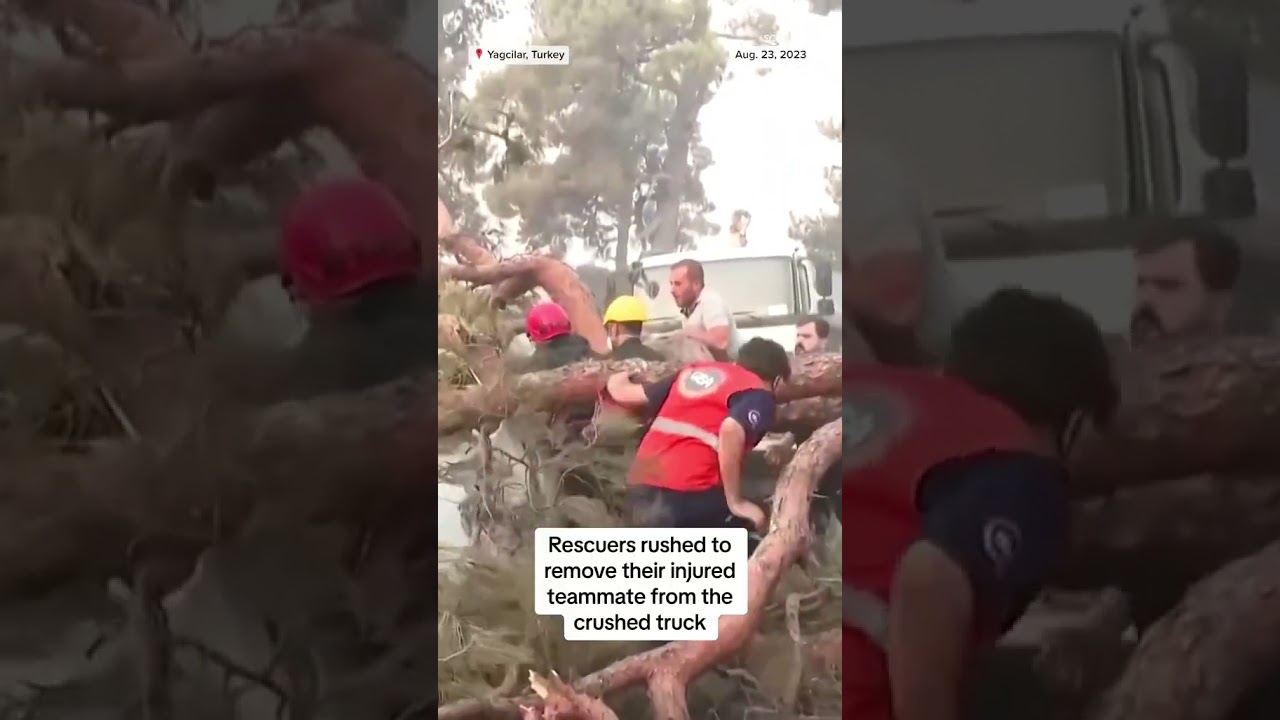 Tree collapses on emergency worker during Turkey wildfire Tree collapses on emergency worker during Turkey wildfire