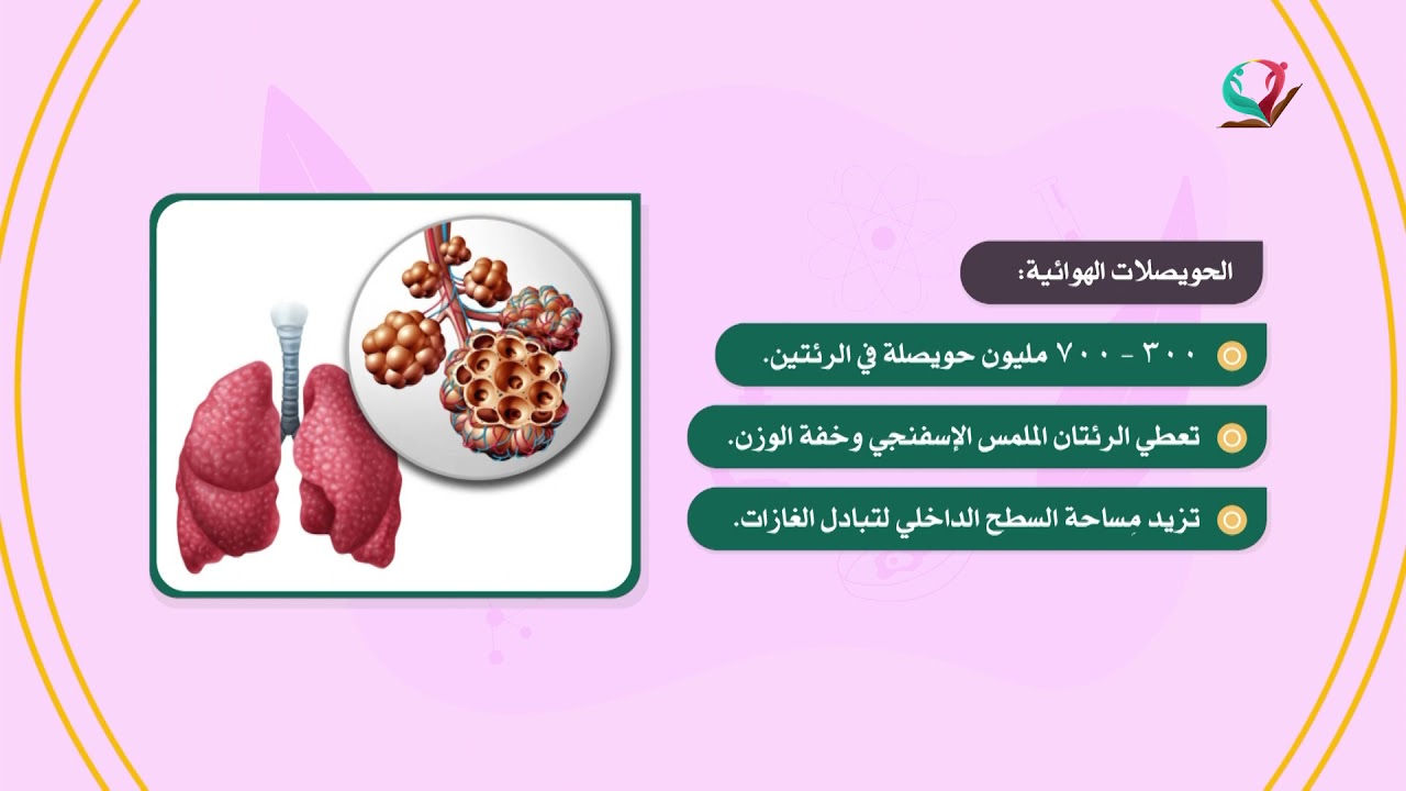 العلوم والحياة 9 - فصل 1 | الجهاز التنفسي