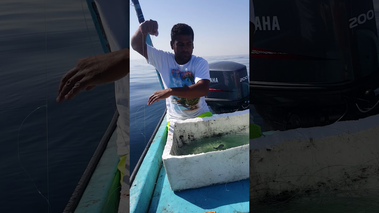 صيد الخابورة