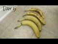 How I Keep Bananas Fresh Longer