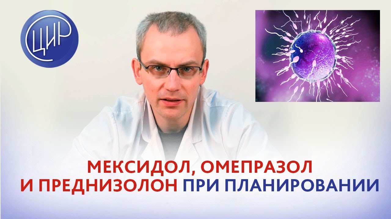 Мексидол, омепразол и преднизолон: влияние на сперму. Откладывать ли ...