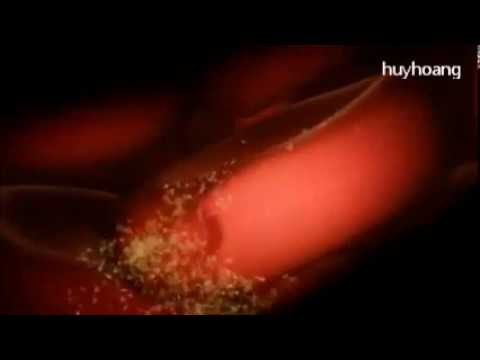 [MEDICINE] Chu kì Plasmodium