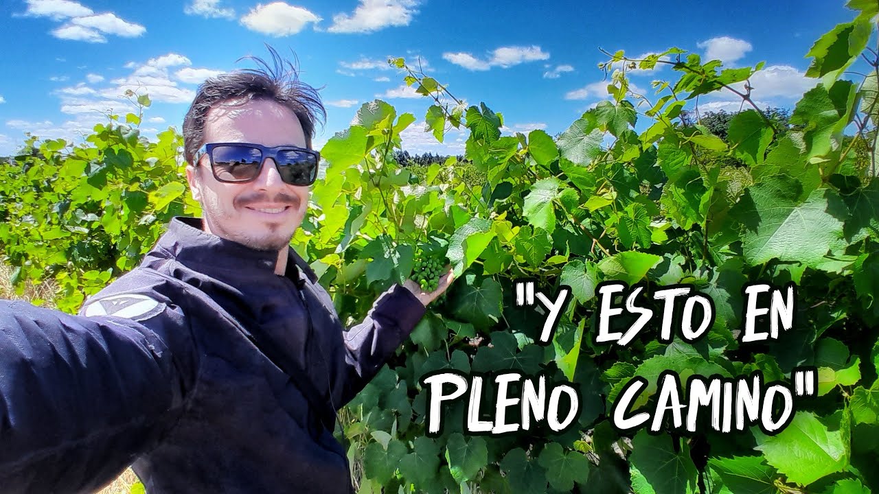 ¿Pero cómo NO LO VI antes? | PARAÍSO definitivo de ARGENTINA | CAMPO, paisajes y VIDAS PRIVILEGIADAS