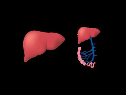 Video: Hämangiom Der Leber - Symptome, Behandlung, Ernährung, Ursachen