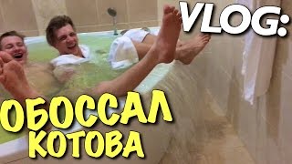VLOG: ПОКАЗАЛ ПИСЮН и ОБОССАЛ КОТОВА / Андрей Мартыненко VLOG: ПОКАЗАЛ ПИСЮН и ОБОССАЛ КОТОВА / Андрей Мартыненко