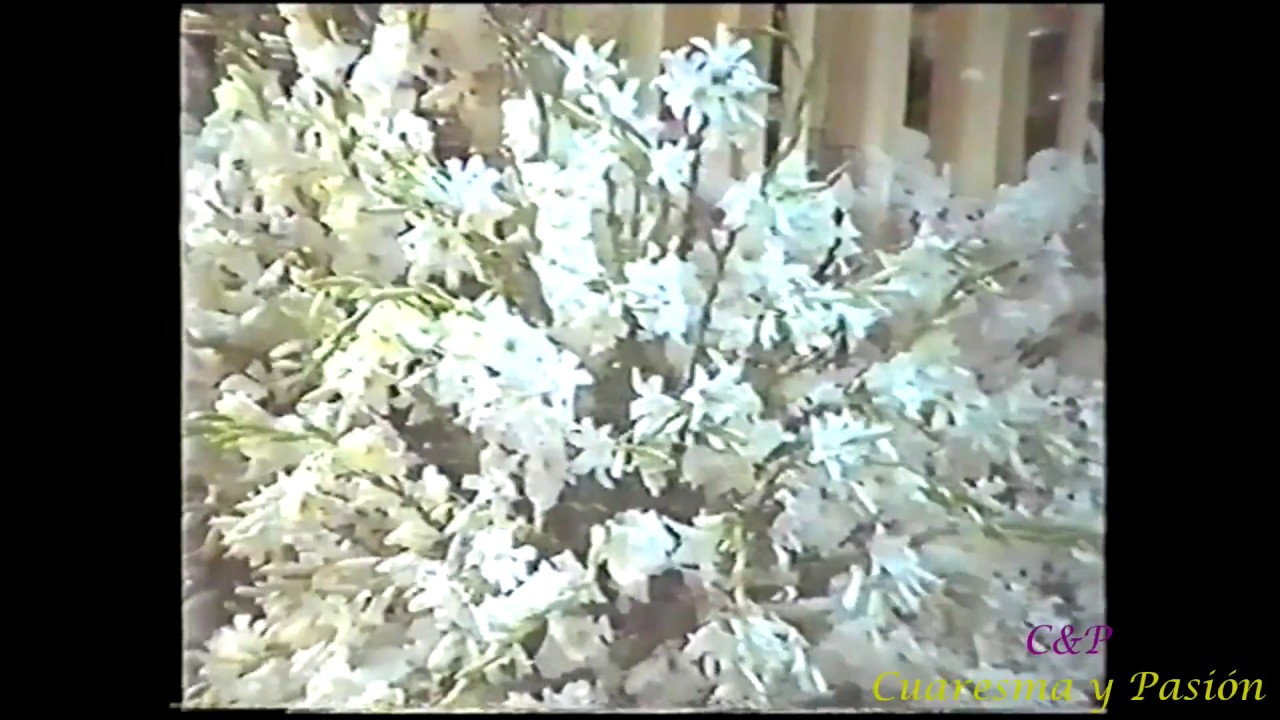 Impresionante Documental: Coronación Esperanza de Triana 1984