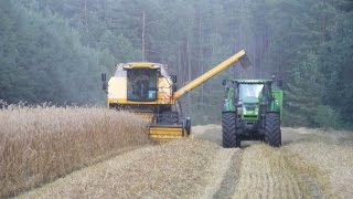 Koszenie żyta, czyli New Hollandy w akcji - Żniwa 2014